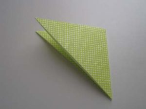 Photo from http://www.origami-instructions.com/